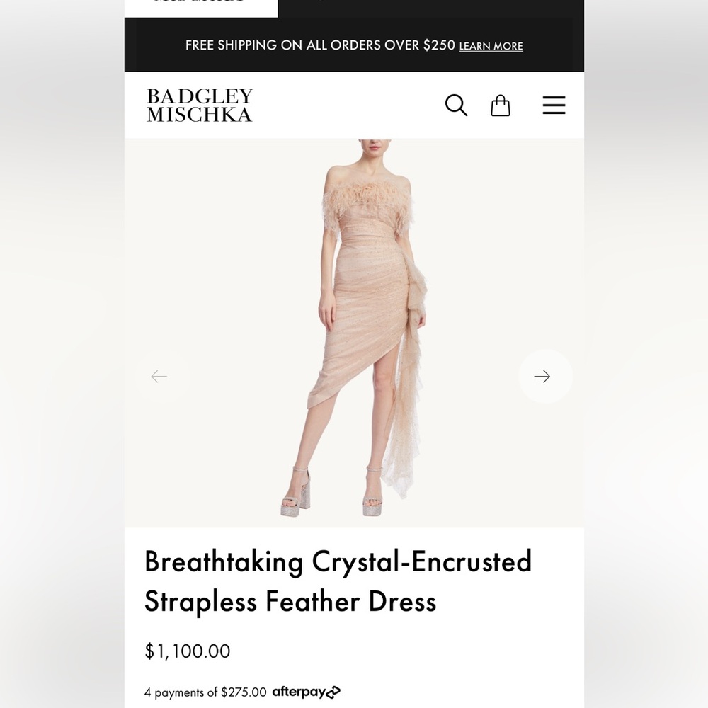 Badgley Mischka Size 8 Dress